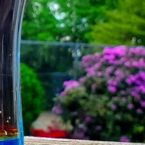 Meet your Posher, Gianna